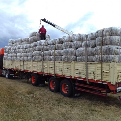 WhatsApp Image 2021-12-13 at 21.41.35